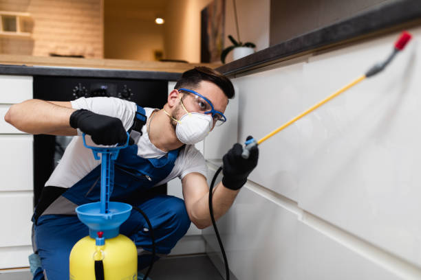 Best Exterminator Services  in Royal City, WA