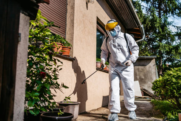 Best Pest Inspection Near Me  in Royal City, WA
