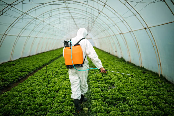 Best Mosquito Control Services  in Royal City, WA
