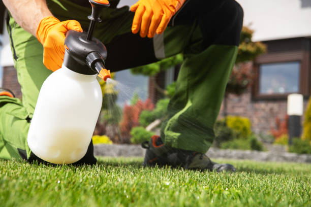 Best Wasp Removal Services  in Royal City, WA