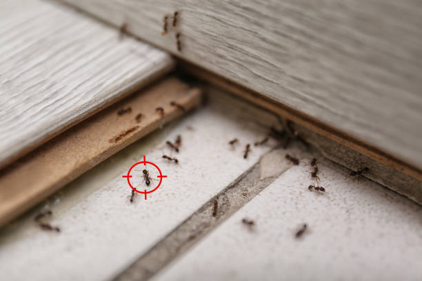 Best Pest Control Cost  in Royal City, WA