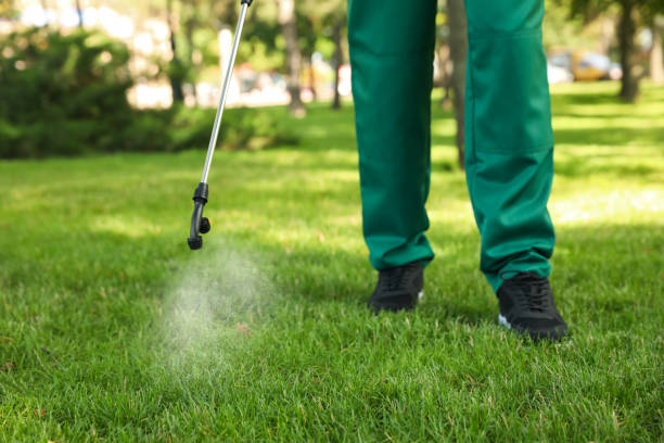 Trusted Royal City, WA Pest Control Experts
