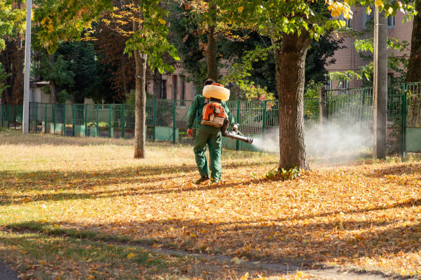 Best Pest Control Near Me  in Royal City, WA