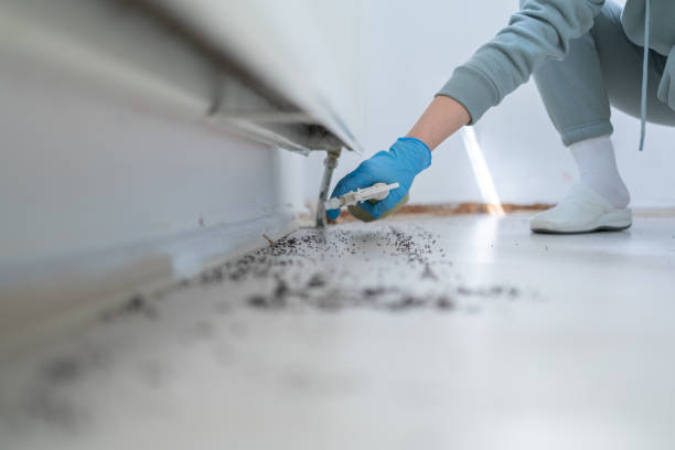 Best Pest Control Cost  in Royal City, WA